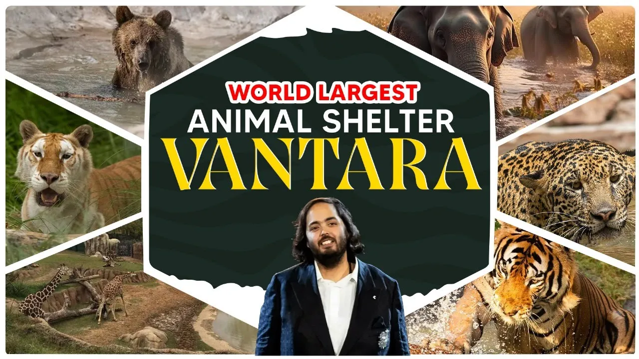 वंतारा: जानवरों के लिए एक स्वर्ग | Vantara : A Heaven for rescued Animals